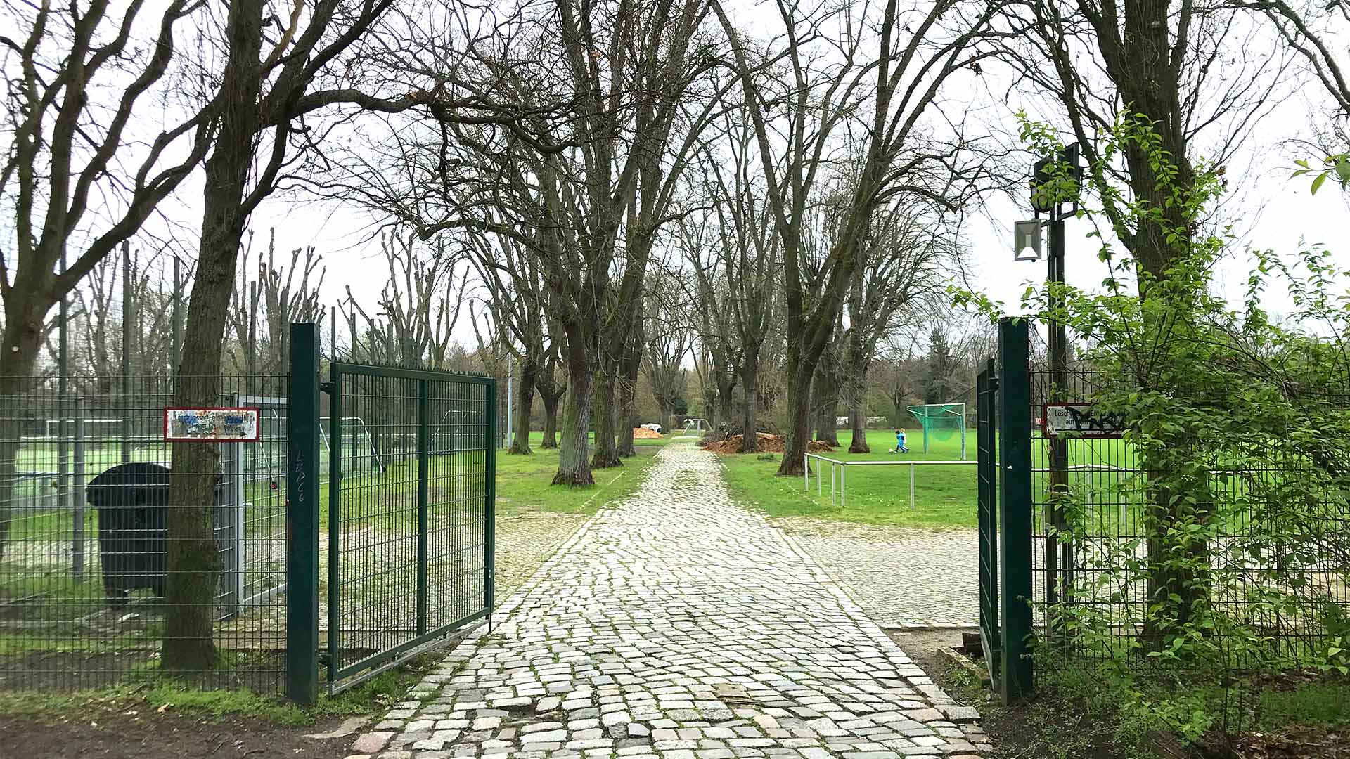 Westlicher Eingang zur Sportanlage. Der die Sportanlage durchquerende Hufeiesenweg wird von Lindenreihen gesäumt.